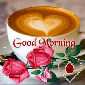 Meet your Posher, Joanna